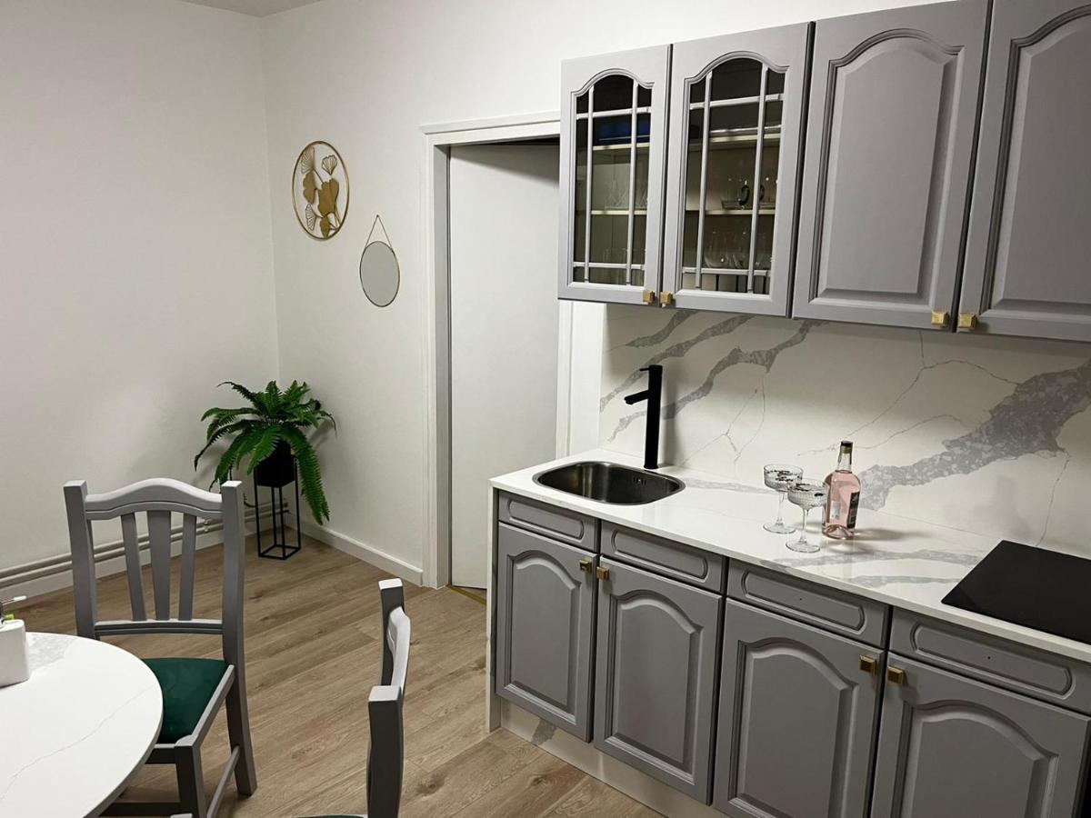شقة Apartman Gold Maris كارلوفاتش المظهر الخارجي الصورة